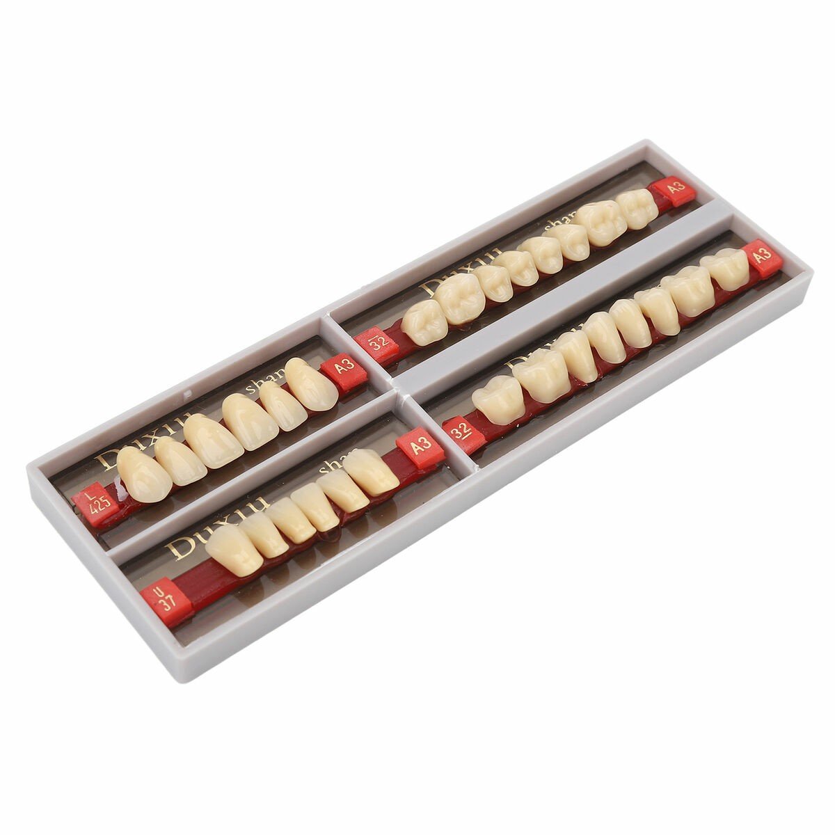 acrylic-teeth-size-16