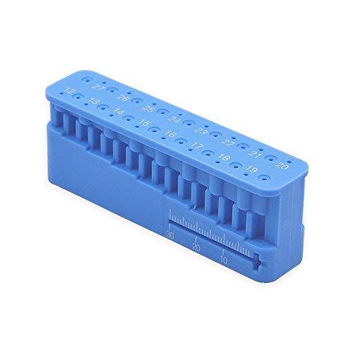 endo-ruler
