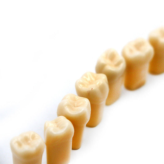 Acrylic teeth